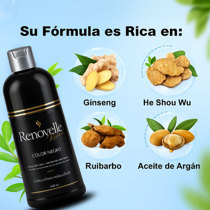 CHAMPÚ CUBRE CANAS NATURAL 500ml- HAIR DYE 3 en 1